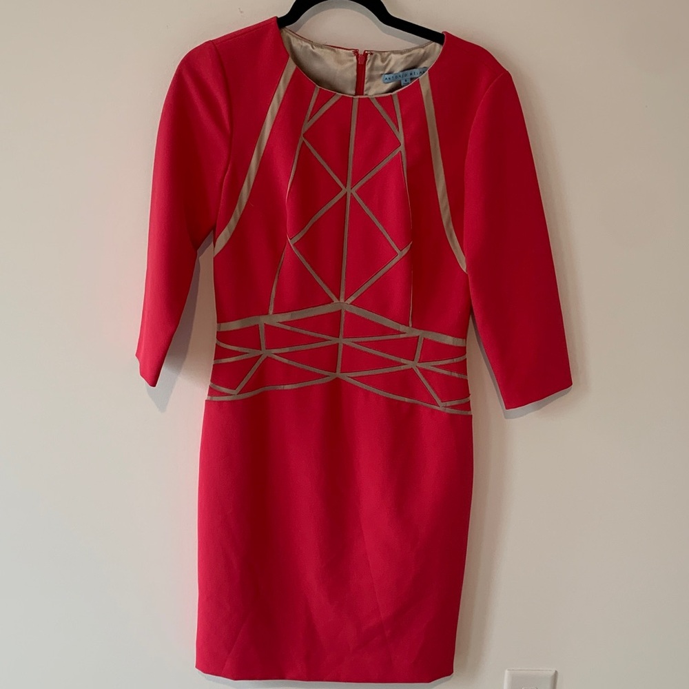 ANTONIO MELANI  Fuchsia and nude beige mesh 3/4 pencil Sleeve Dress 6 NWOT